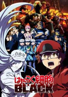 Hataraku Saibou Black (TV) Sub Indo